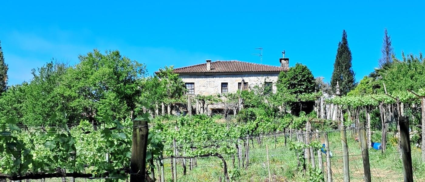 Quinta Agrícola