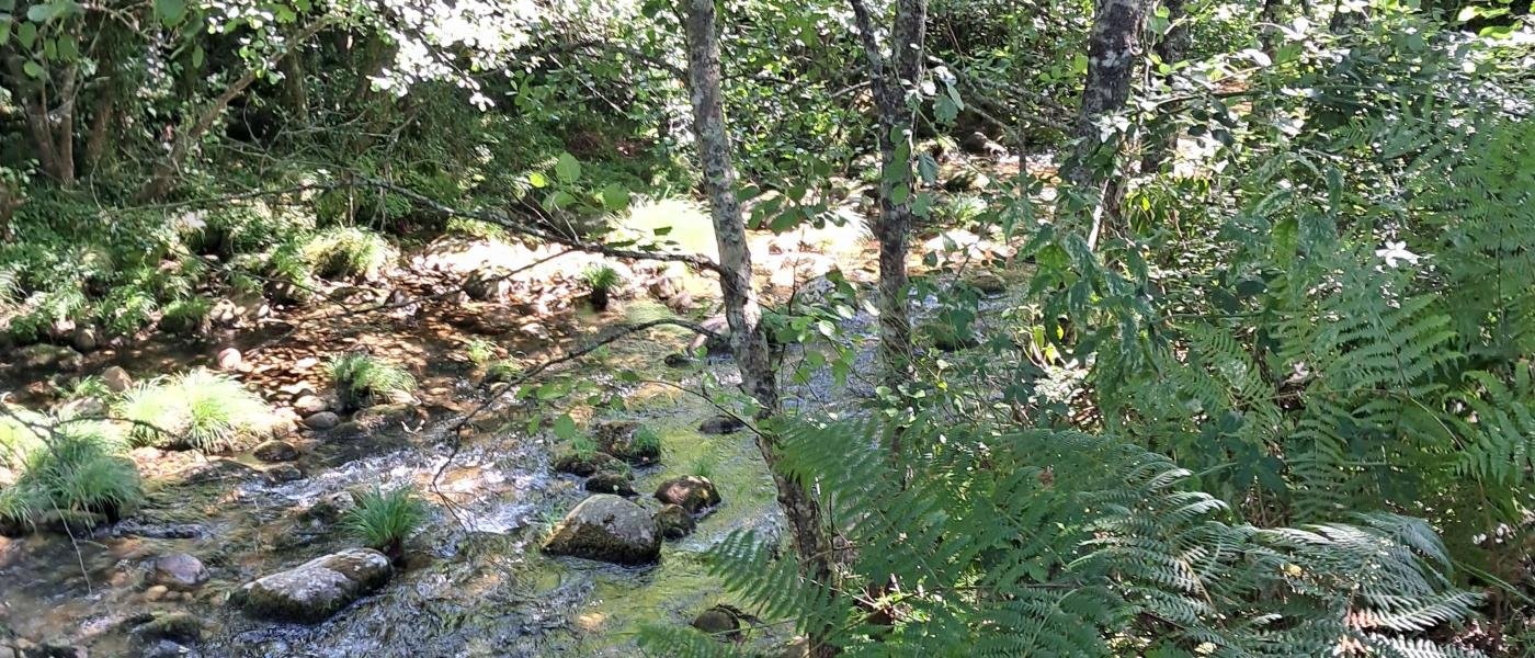 Terreno urbano Guilhadese