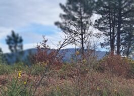 Terreno Arcos de Valdevez