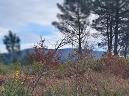 Terreno Arcos de Valdevez